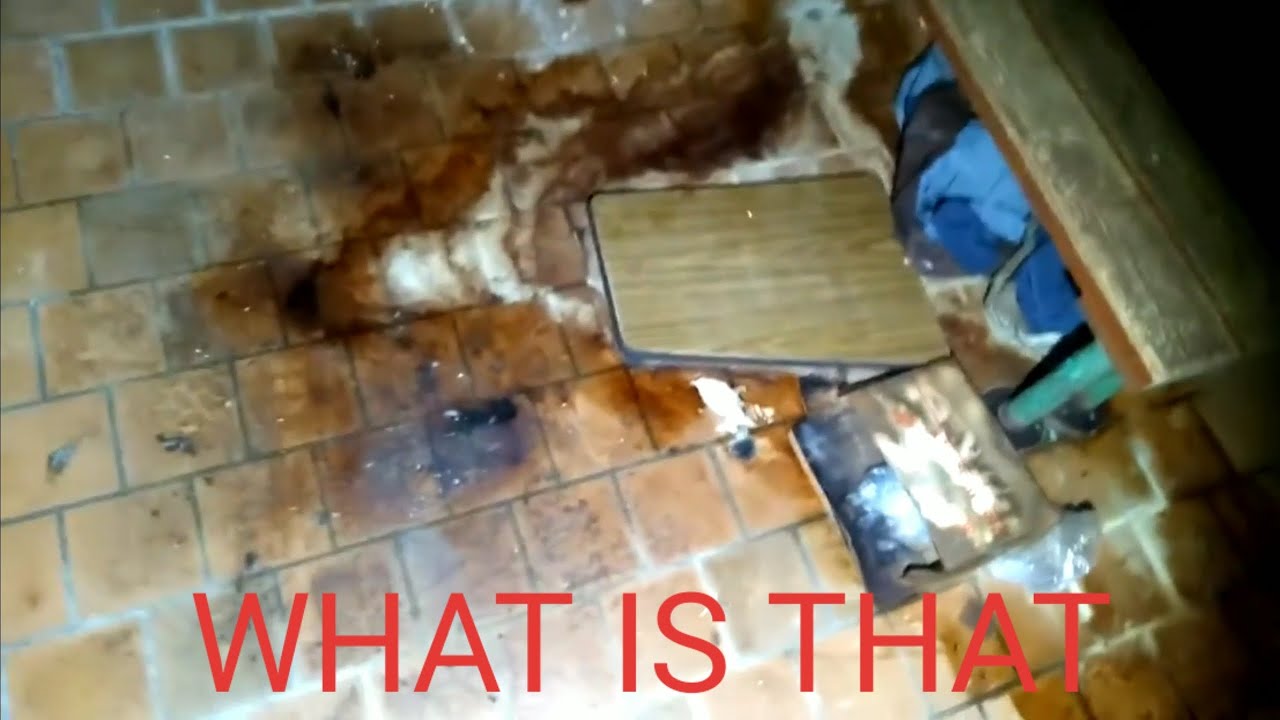 Hebron Elementary School Lunch Menu Hebron Elementary School Lunch Menu