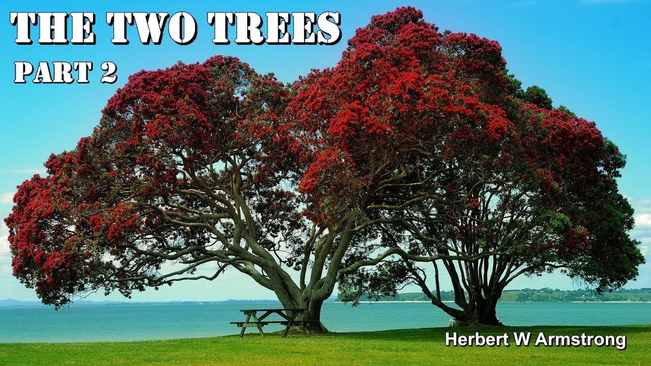 ⁣The Two Trees - Part 2 by Herbert W Armstrong