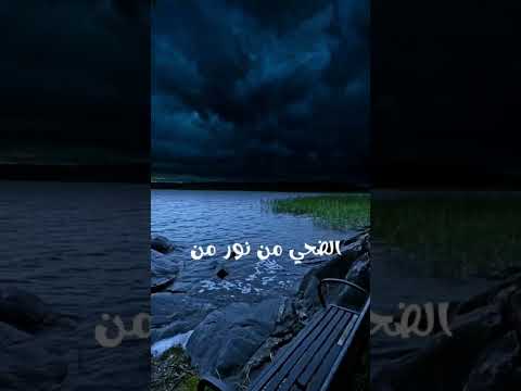 موقظا بالنور اجفان الحياه نصر الدين طوبار اكسبلور