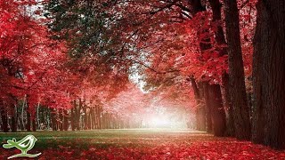 Beautiful Relaxing Music - Romantic Music with Piano, Cello, Guitar & Violin | "Autumn Colors"