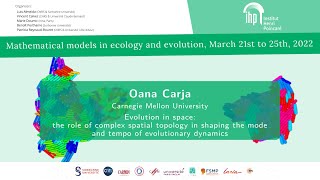 Evolution in space: the role of complex spatial topology in shaping the mode ...