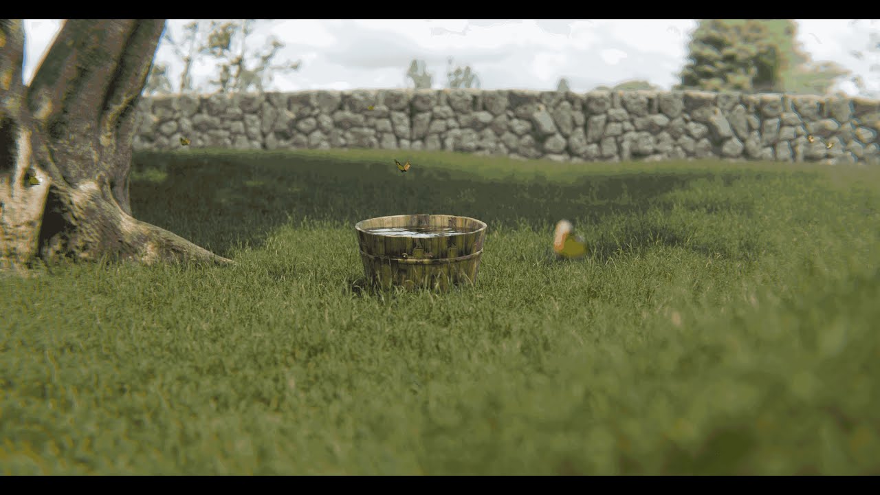 3D butterfly backyard animation - YouTube