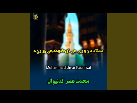 درزم هوزور ته ديه