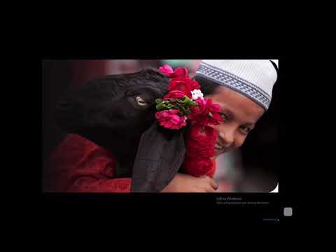 Video: Che Festività Musulmane Esistono