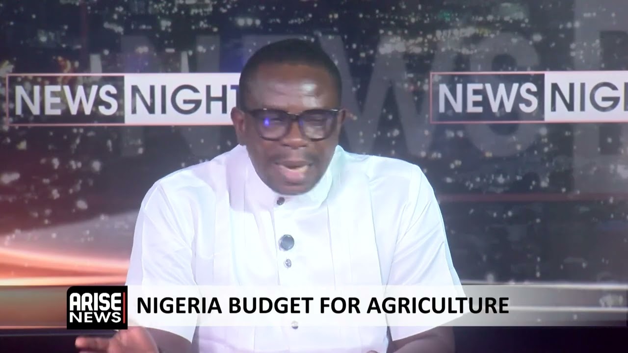 Nigeria Is Treating the  Agriculture Sector As An Expenditure Intead of An Investment - Nwokoye