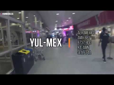 TRIP REPORT YUL-MEX Aeromexico B737-8 (Economy)