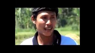 Pring cecet - Sara su sita