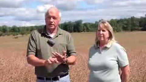 Growing and Processing Canola in Michigan, Dan and...