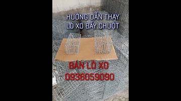 Hướng dẫn thay lò xo bẫy chuột, sóc. bán lò xo, bán bẫy chuột đồng, bán bẫy sóc 0936059090.