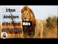 3 Days 4 Nights Kenya safari masai Mara game reserve Tour