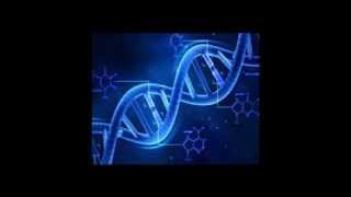 Documentary: Genetically Engineering Babies