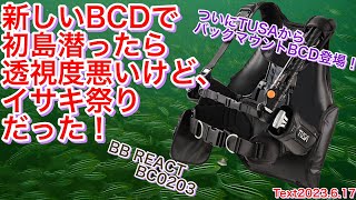 新しいBCDで初島潜ったら透視度悪いけど、イサキ祭りだった！~TUSA BB REACT BC0203初使用！~20230617