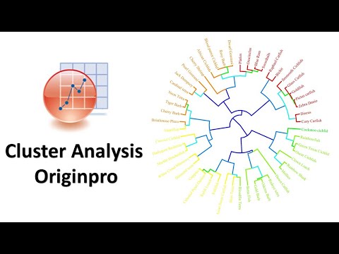How to Draw a Cluster Analysis in OriginPro | Biostatistics | Statistics Bio7