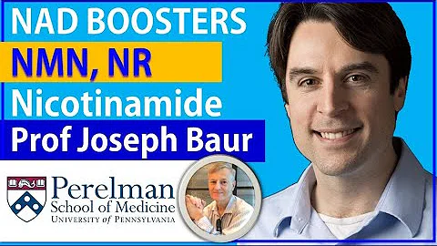 NAD Boosters - NMN, NR & Nicotinamide: The Same? | Professor Joseph Baur Interview Series Episode3