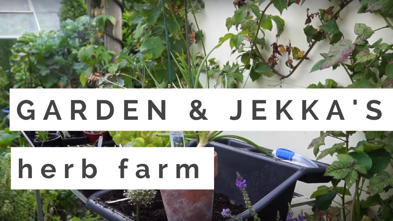 Backyard Update and Jekka's Herb Farm YouTube