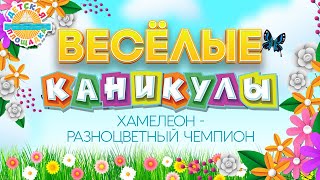 ХАМЕЛЕОН - РАЗНОЦВЕТНЫЙ ЧЕМПИОН ☀ ВЕСЁЛАЯ ЛЕТНЯЯ ПЕСЕНКА ☀ ВЕСЁЛЫЕ КАНИКУЛЫ 2023 ☀ HAPPY HOLIDAYS