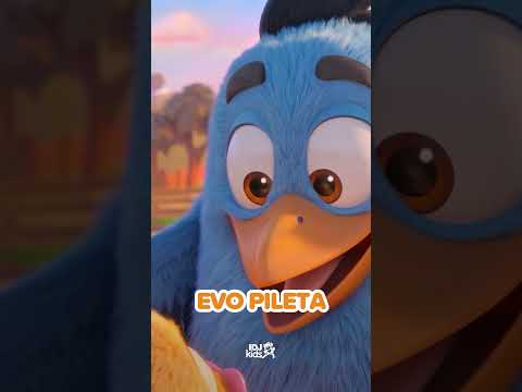 PILICI - EVO PILETA | NAJLEPSE DECIJE PESME |  @RankoDamjanovic  &  @IDJKids ​