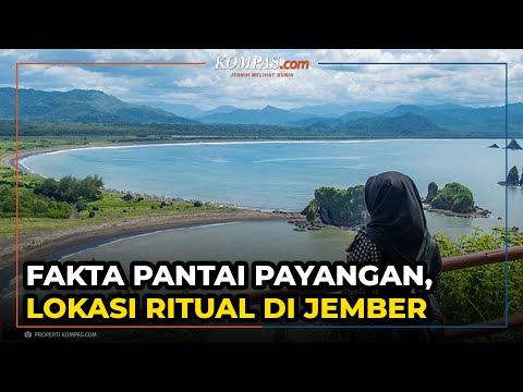 Fakta Pantai Payangan yang Jadi Lokasi Ritual Warga di Jember