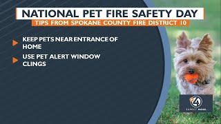 National Pet Fire Safety Day