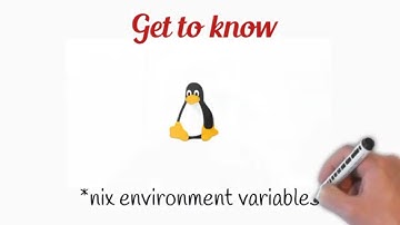 Environment Variables on Unix/Linux systems