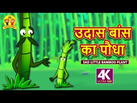 वीडियो: उपचार के लिए बगीचे में