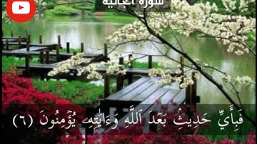 سورة الجاثية page 499 {القارئ خالد الجليل}