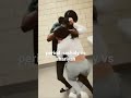 #viral #fight #getting #slay #hartford #connecticut