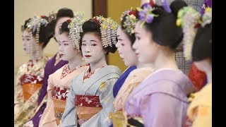 京都花街・鴨川をどり衣装合わせ