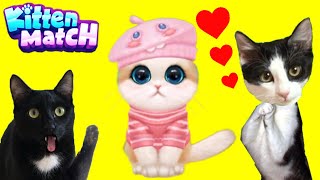 Gato gamer vs nuevo gatito en KITTEN MATCH con Luna y Estrella / Videojuego con gatitos CAP 4