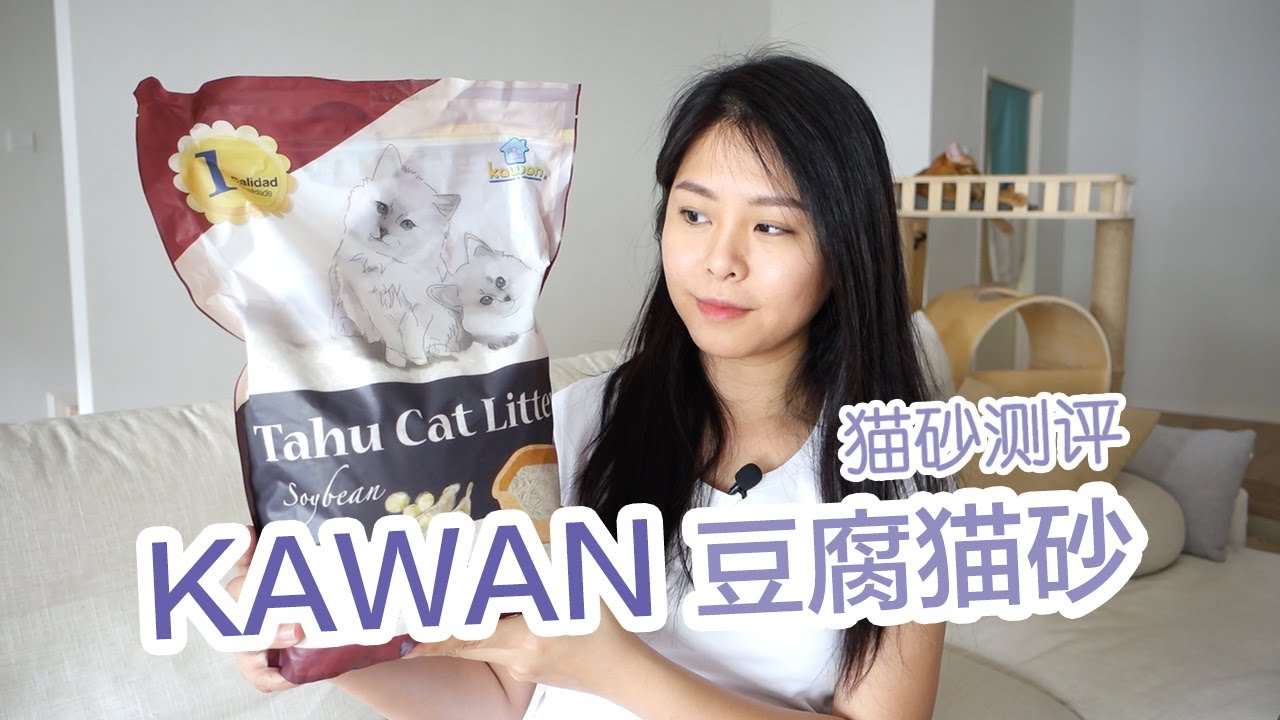猫砂测评｜KAWAN豆腐猫砂 Tofu Cat Litter Review YouTube