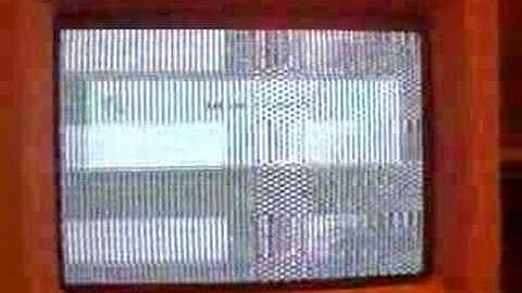 MAC SE/30 Video Problem