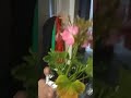 HAPPY MOTHER'S DAY