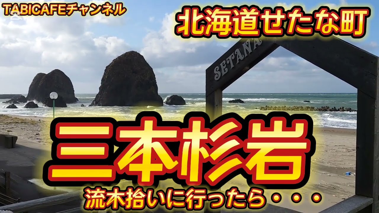 北海道　流木　日本海　3本 北海道せたな町【三本杉岩】海岸で流木拾いしてきました！そうしたら