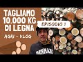 TAGLIAMO 10.000 KG DI LEGNA | Quanto ci metteremo? - Episodio 1 | Video in Azienda