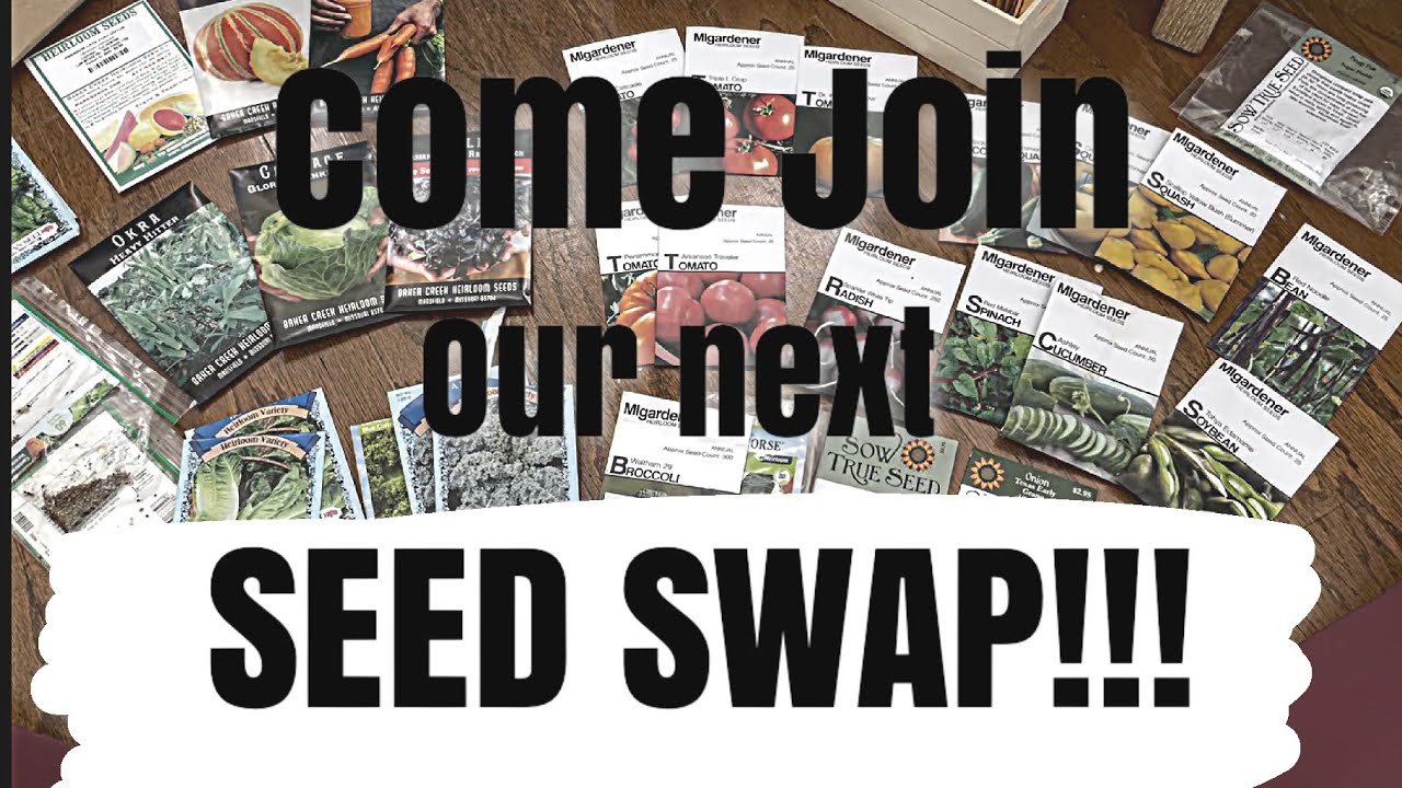 Come join our next seed swap! 