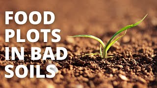 How I Plant Food Plots Into Bad Soils