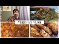 Yerevan Vlog. Мои Розы. Вкусности С Рынка. Поедем Ли Мы В Грузию. Продолжаю Заготовки Варенья😋.