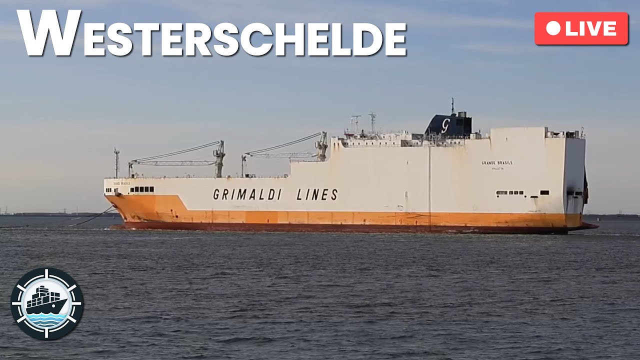 LIVE: 🚢 GRANDE BRASILE to be scrapped ⚓ Ship spotting at the Westerschelde, NL | April 19, 2025