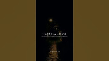 لَّقَدْ كَانَ لَكُمْ فِي رَسُولِ اللَّهِ أُسْوَةٌ حَسَنَةٌ | محمد صديق المنشاوي | سورة الأحزاب