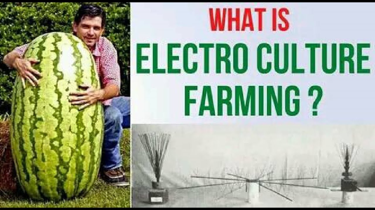 what-is-electro-culture-farming-youtube