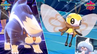 ナマズン を救いたかった ポケモン剣盾 的youtube视频效果分析报告 Noxinfluencer