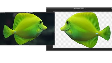 Easiest Way to Make Selections in Affinity Photo