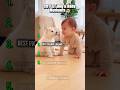 DOGS &amp; BABIES 🥹 Cutest Moments Ranked #shorts