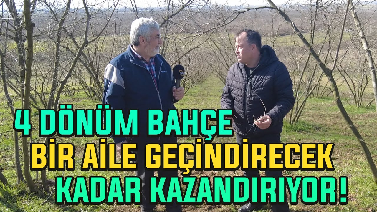 4 Dönüm Bahçe Bir Aile Geçindirecek Kadar Kazandırıyor! / Ağaç Budamada Nelere Dikkat Edilmeli?