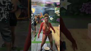 A Turnt Up Pool Party Bbnaija S9 Africa Magic