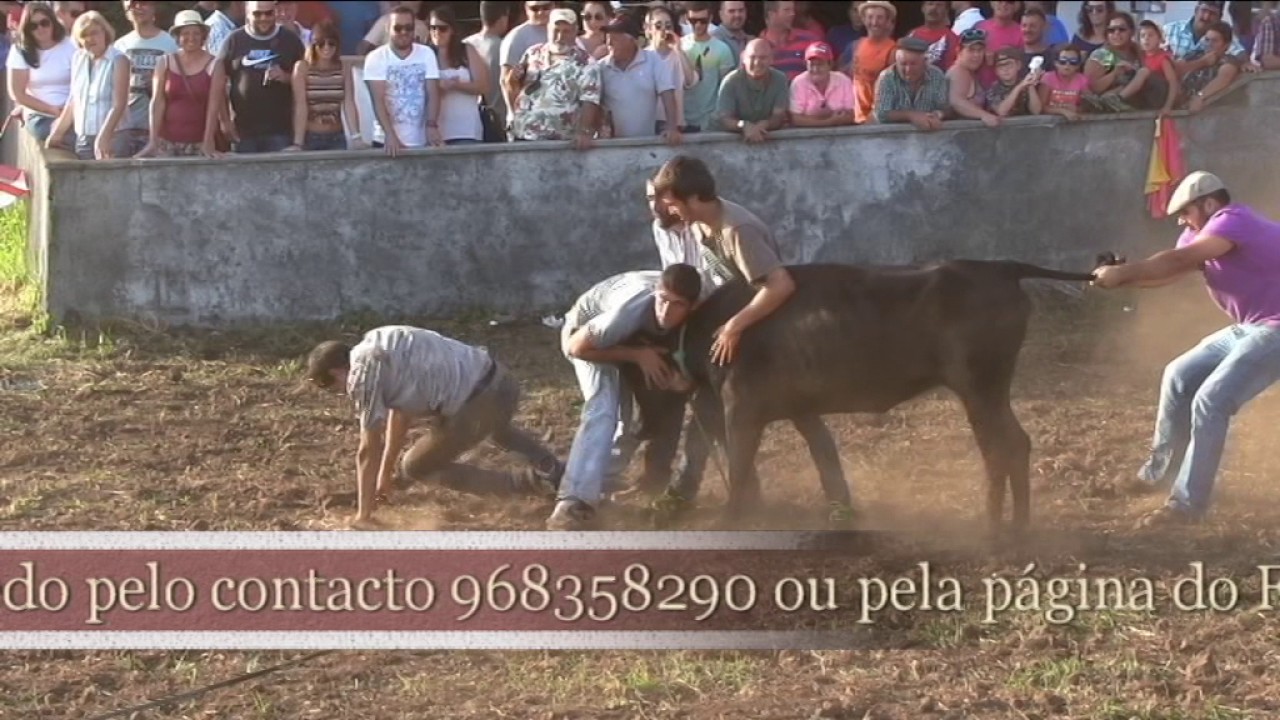 Apresentação do DVD Só Vacadas Ilha São Jorge 2016
