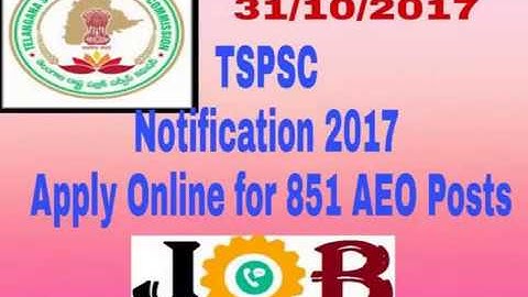 tspsc AEO Notification 2017