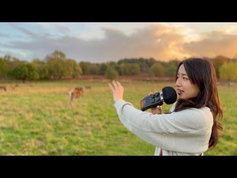 ASMR at Richmond Park 🦌| London🇬🇧