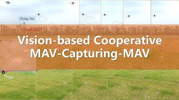 Vision-Based Cooperative MAV-Capturing-MAV