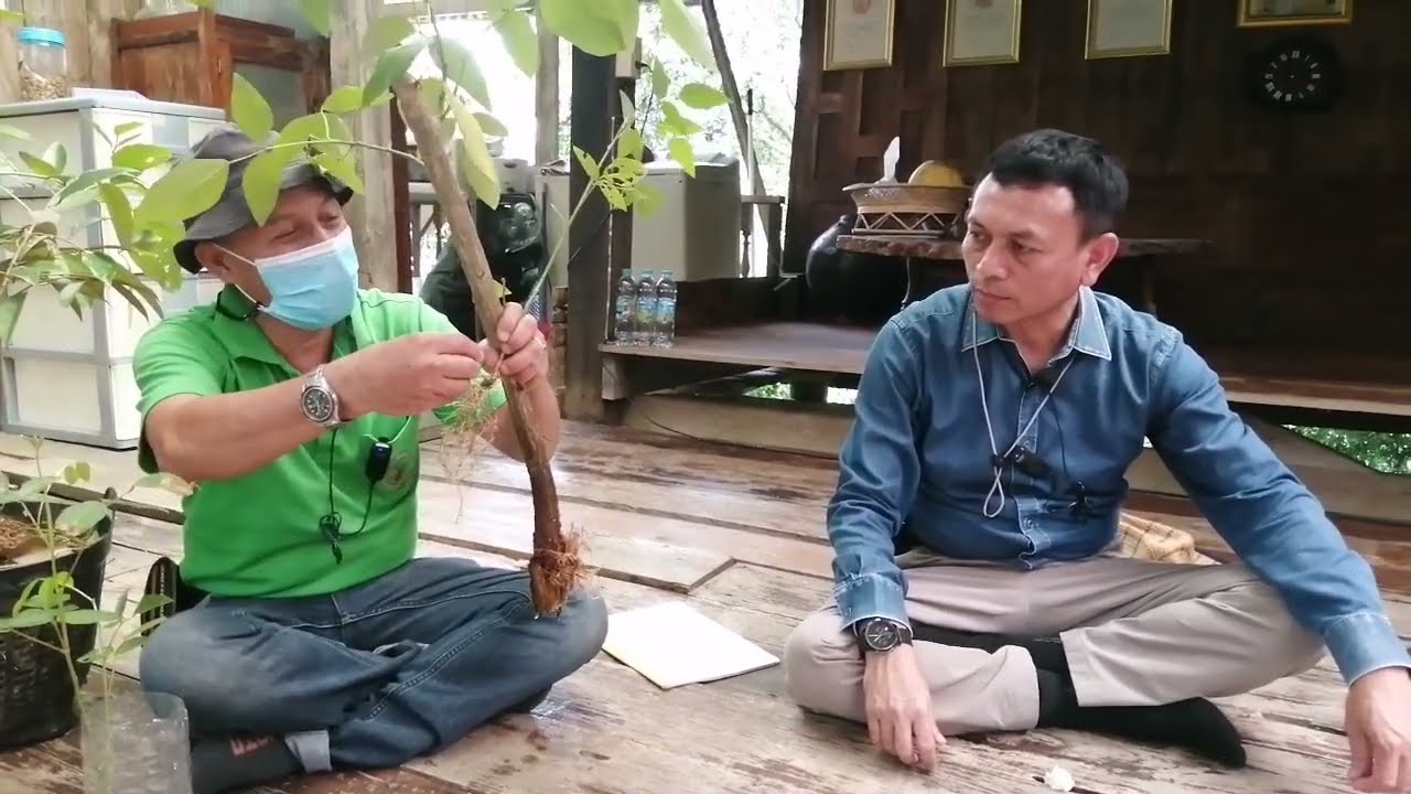 EP2/2 ทุเรียนอินทรีย์ ที่ปากท่อ/ราชบุรี